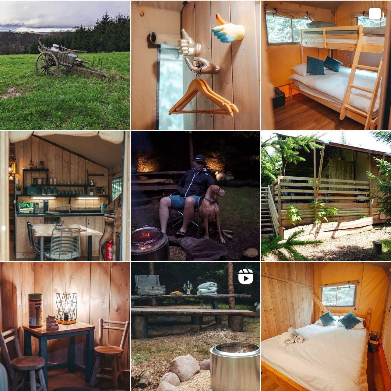 Pine Forest View Glamping website and social media